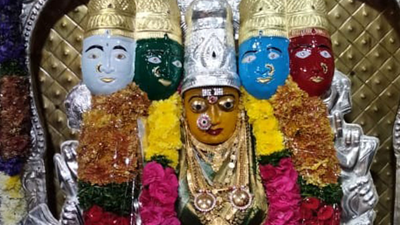 దుర్గామాతకు విశేష పూజలు