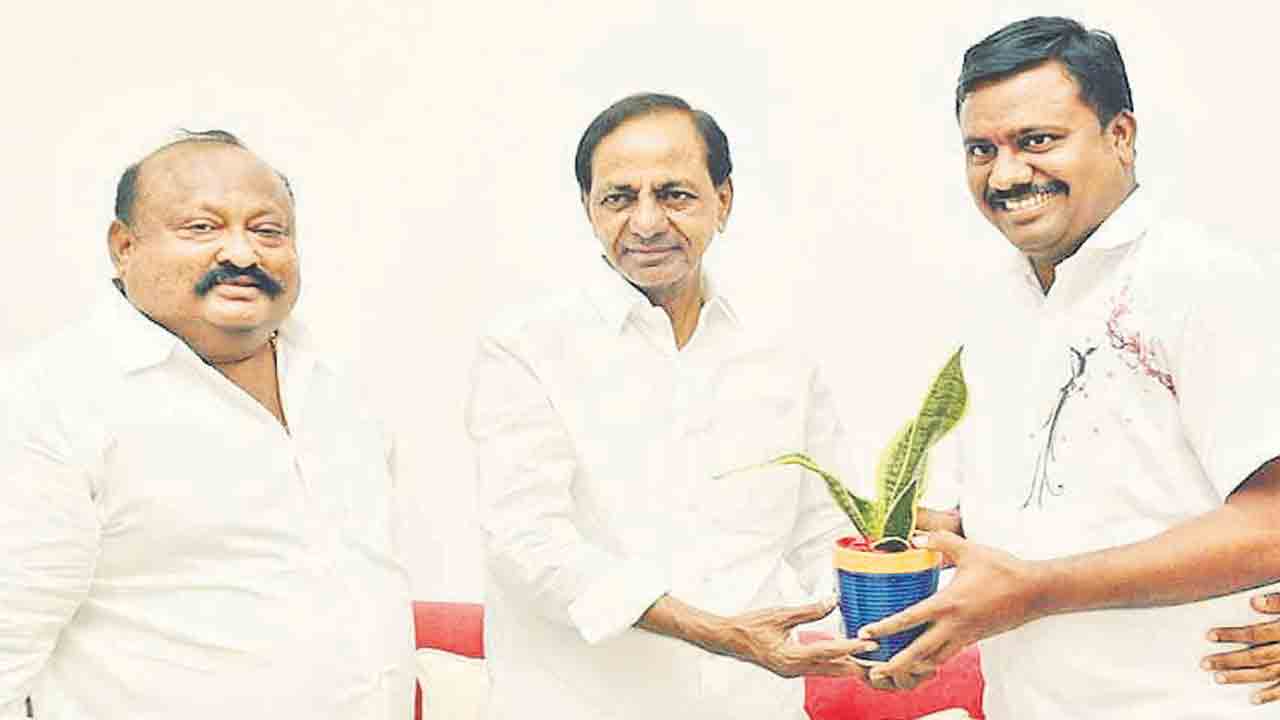 ఉద్యమకారుడికి పట్టం