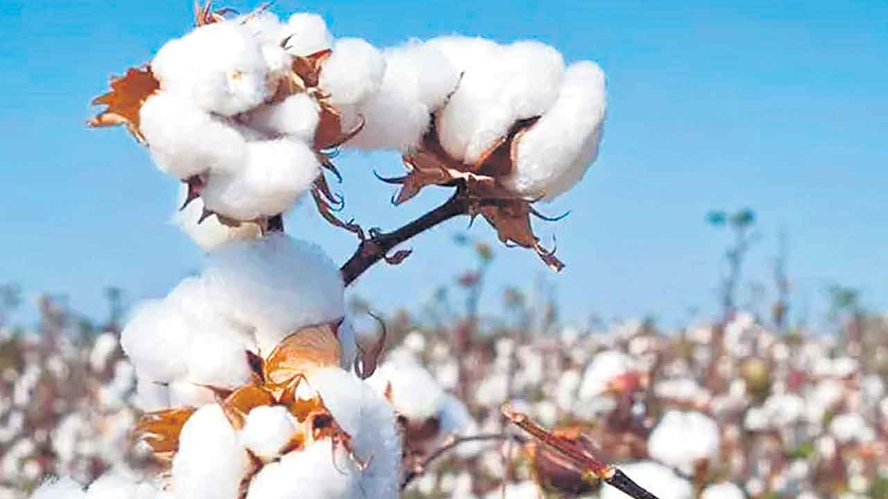 వానకాలం సాగు3.70 లక్షల ఎకరాలు