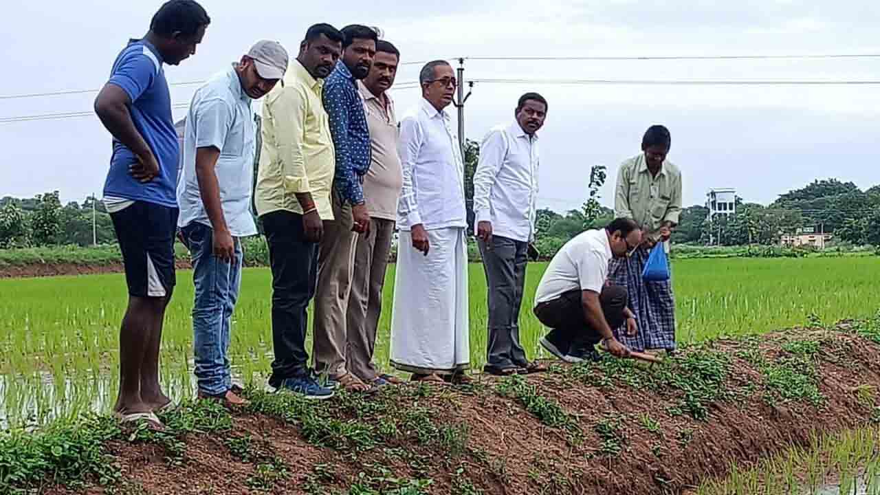 చివరి దశకు పంటల నమోదు