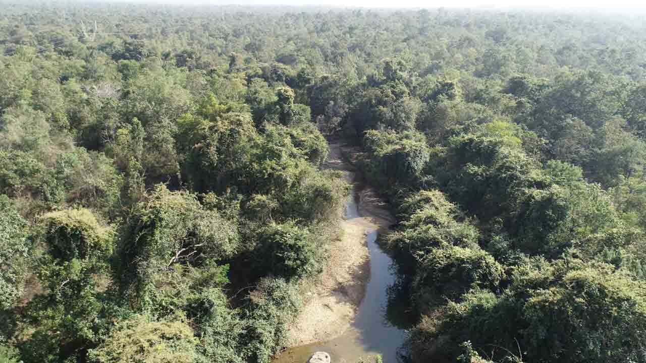 పర్యావరణ హితమే ప్రధానం