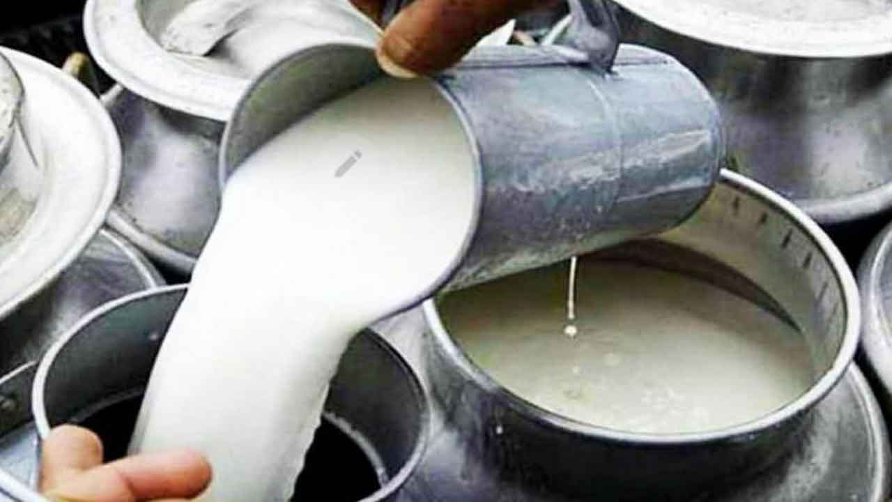 లాభాల పాలు