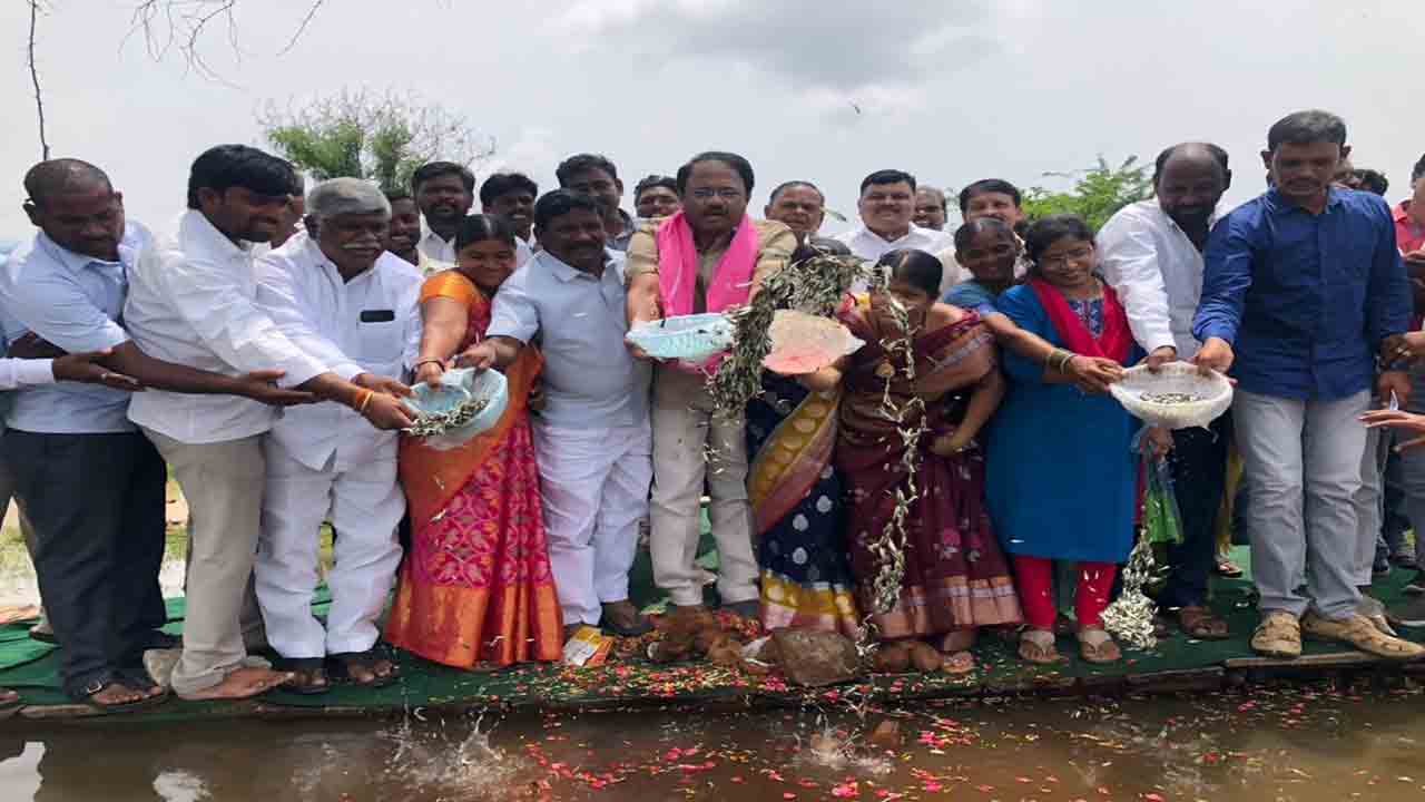 ఆసరాతో భరోసా