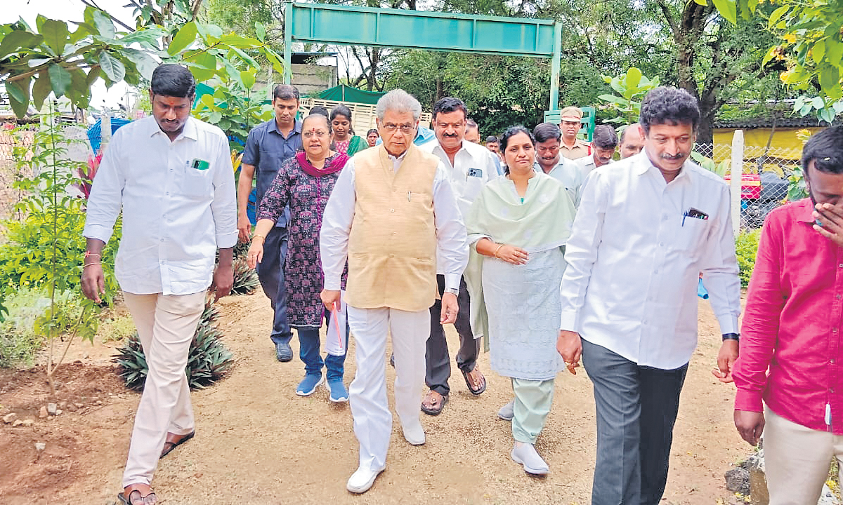 హరితహారం అద్భుతం.. గొప్పగా పచ్చదనం