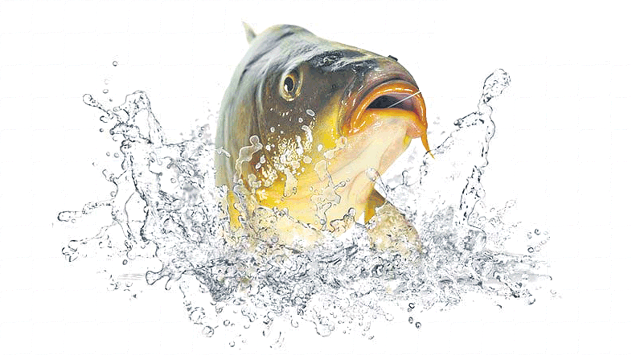 ఆరు గుంటలు.. ఆరు లక్షలు