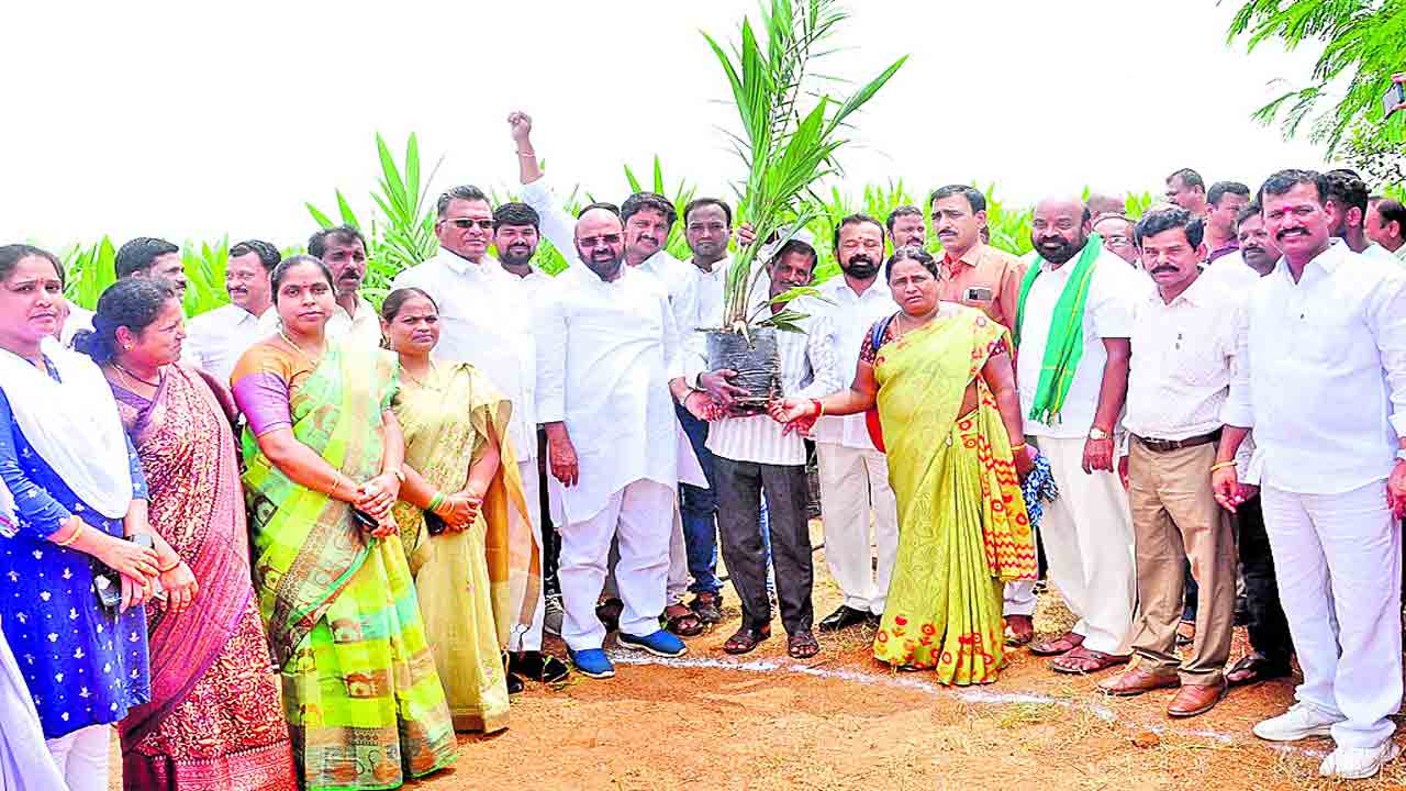 ఆయిల్‌పామ్‌ సాగుతో రైతులకు లాభాలు