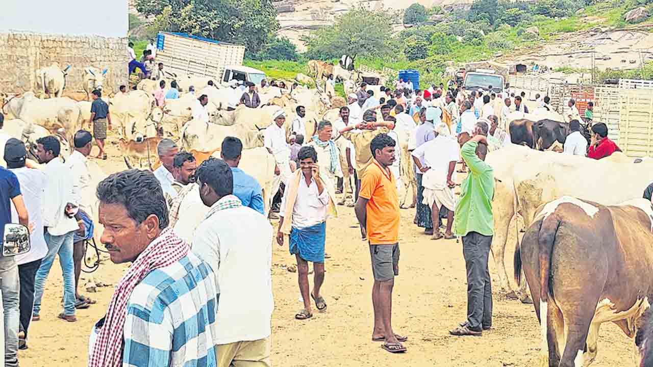 ఉపాధినిచ్చే.. మావూరి సంత