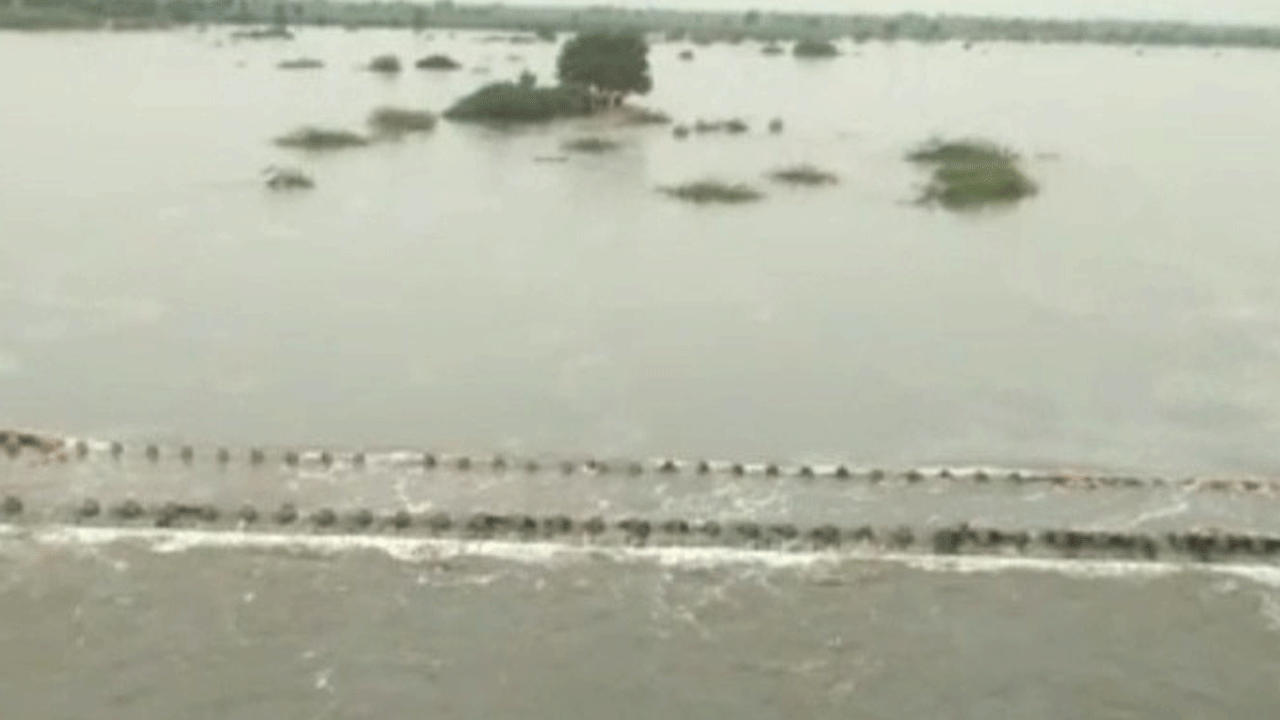 జిల్లావ్యాప్తంగా జోరువాన