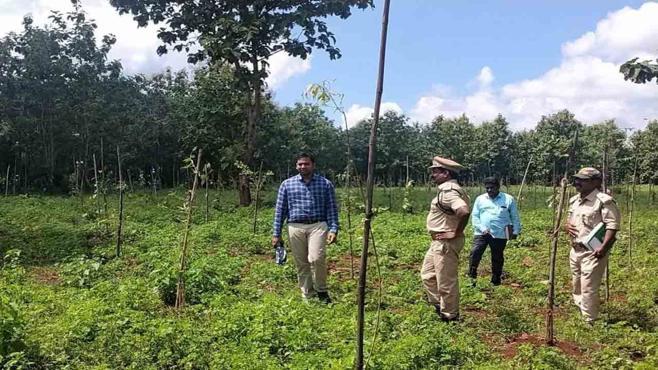 అన్ని రకాల మొక్కలు పెంచాలి