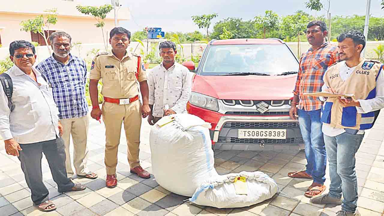 71 కిలోల గంజాయి పట్టివేత