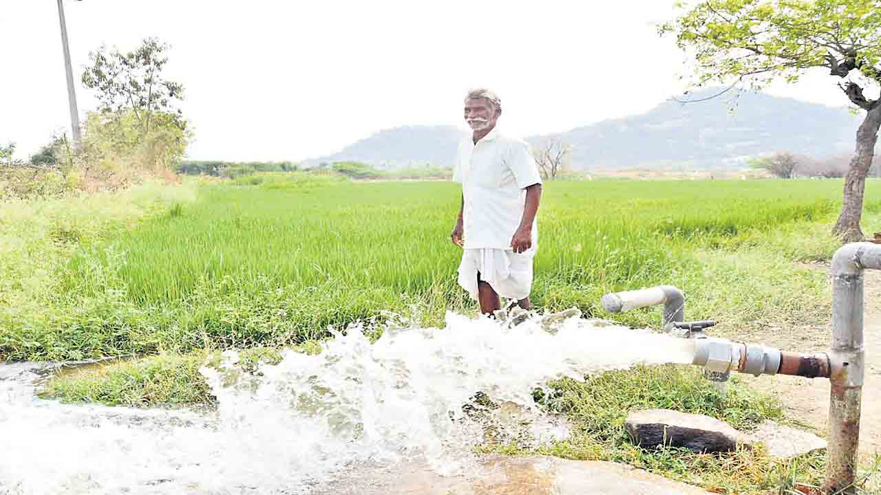 తొలి ప్రాధాన్య పంటగా తెల్లబంగారం