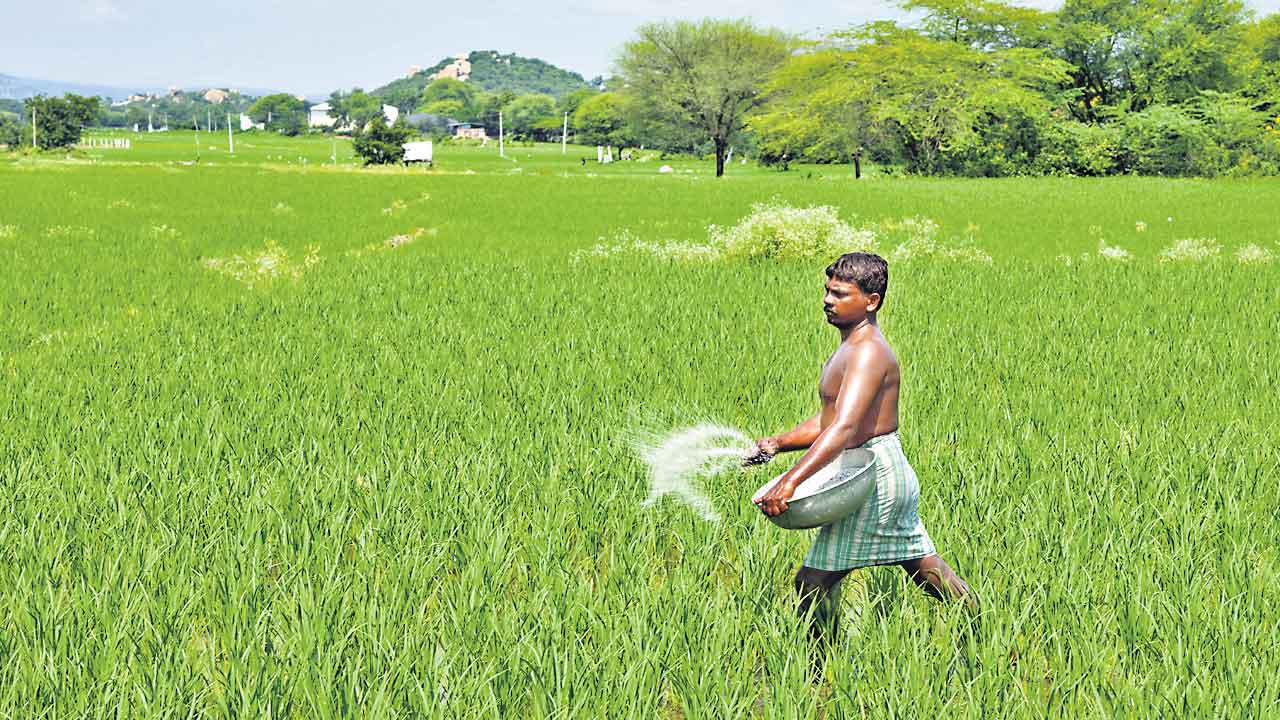వ్యవసాయంలో తెలంగాణ విశ్వరూపం.. కోటీ 35 లక్షల ఎకరాలు దాటిన పంట
