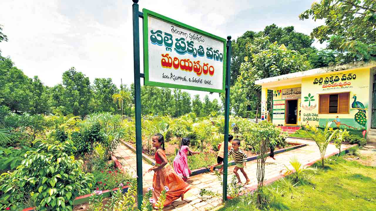 పల్లెకు పోదాం.. వనంలో విహరిద్దాం!