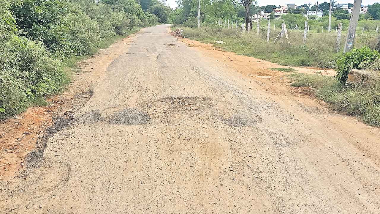 సొంతూరు.. పట్టదా సారూ!