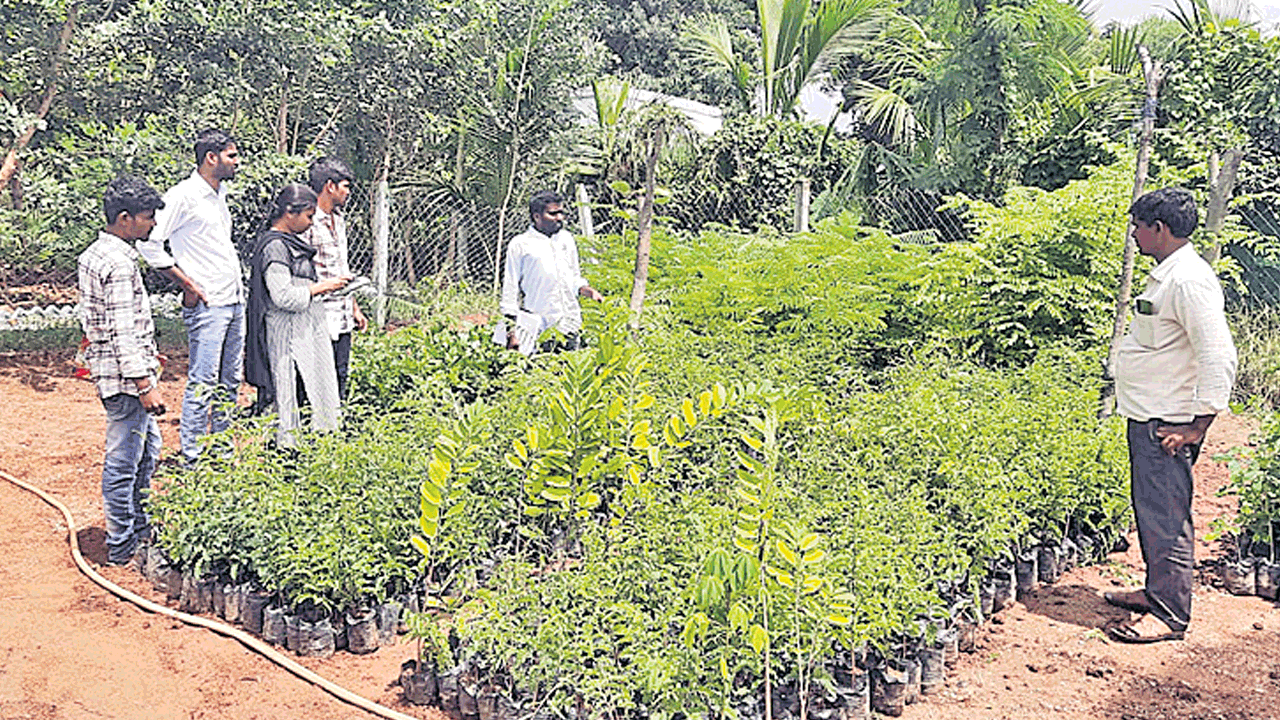 ఉపాధి పనులపై సామాజిక తనిఖీ