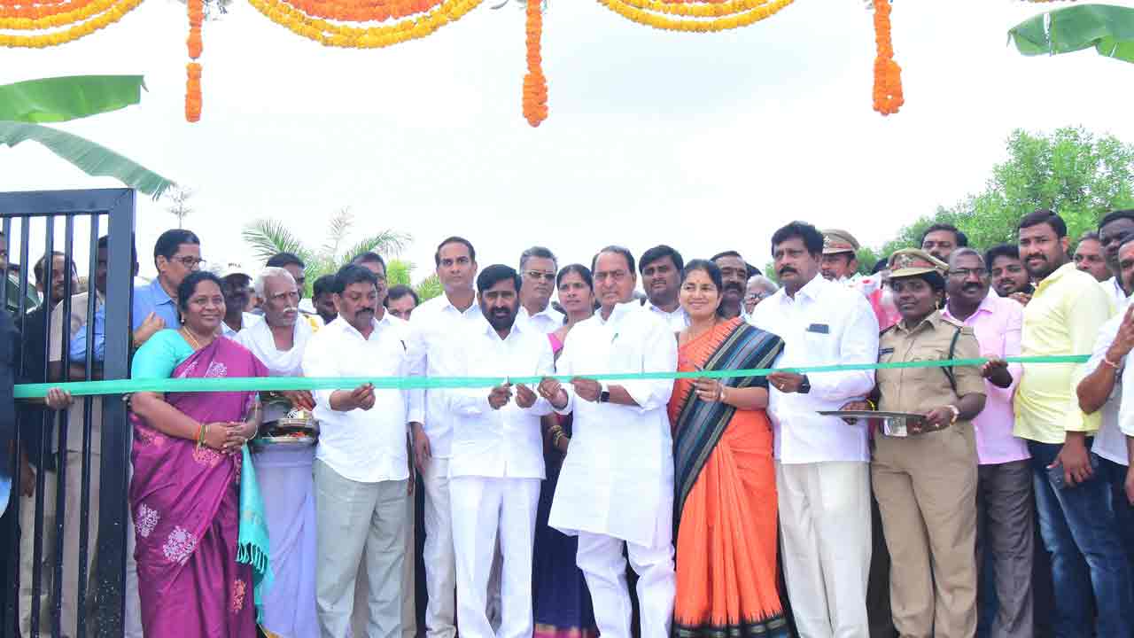 అడవులకు పునరుజ్జీవం