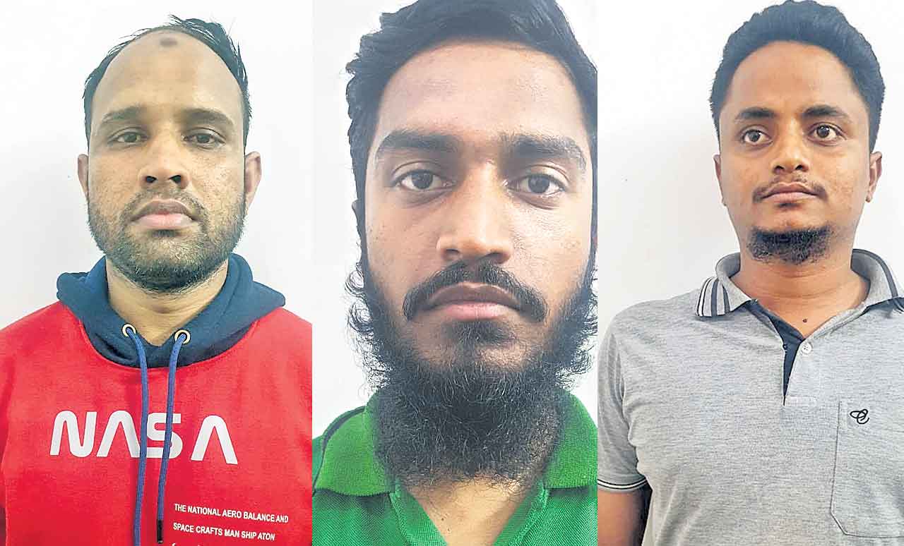 సోదరి బాధలు చూడలేక..