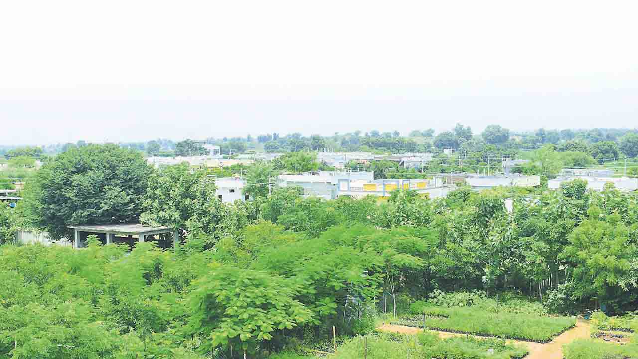 వారెవ్వా.. వరదవెల్లి