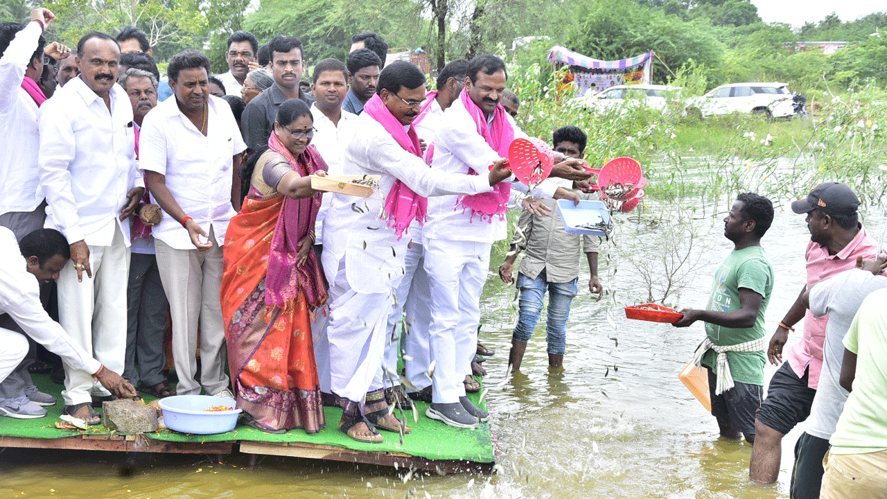 స్వరాష్ట్రంలోనే ప్రగతి
