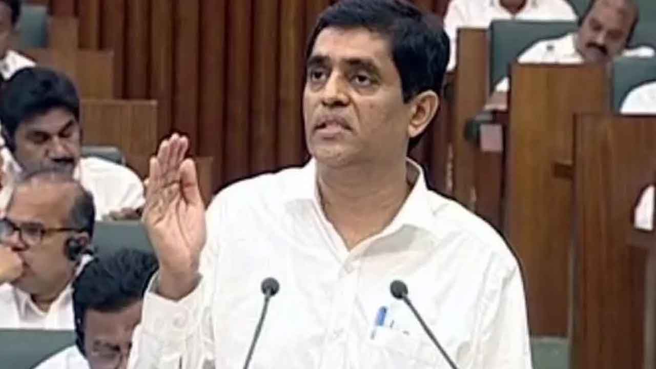 టీడీపీ అంటే టెంపరరీ డెవలప్‌మెంట్ పార్టీ : మంత్రి బుగ్గన