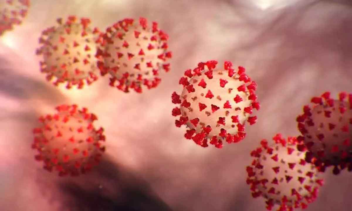 తిరుపతి పోలీస్‌ శిక్షణ కళాశాలలో కరోనా కలకలం