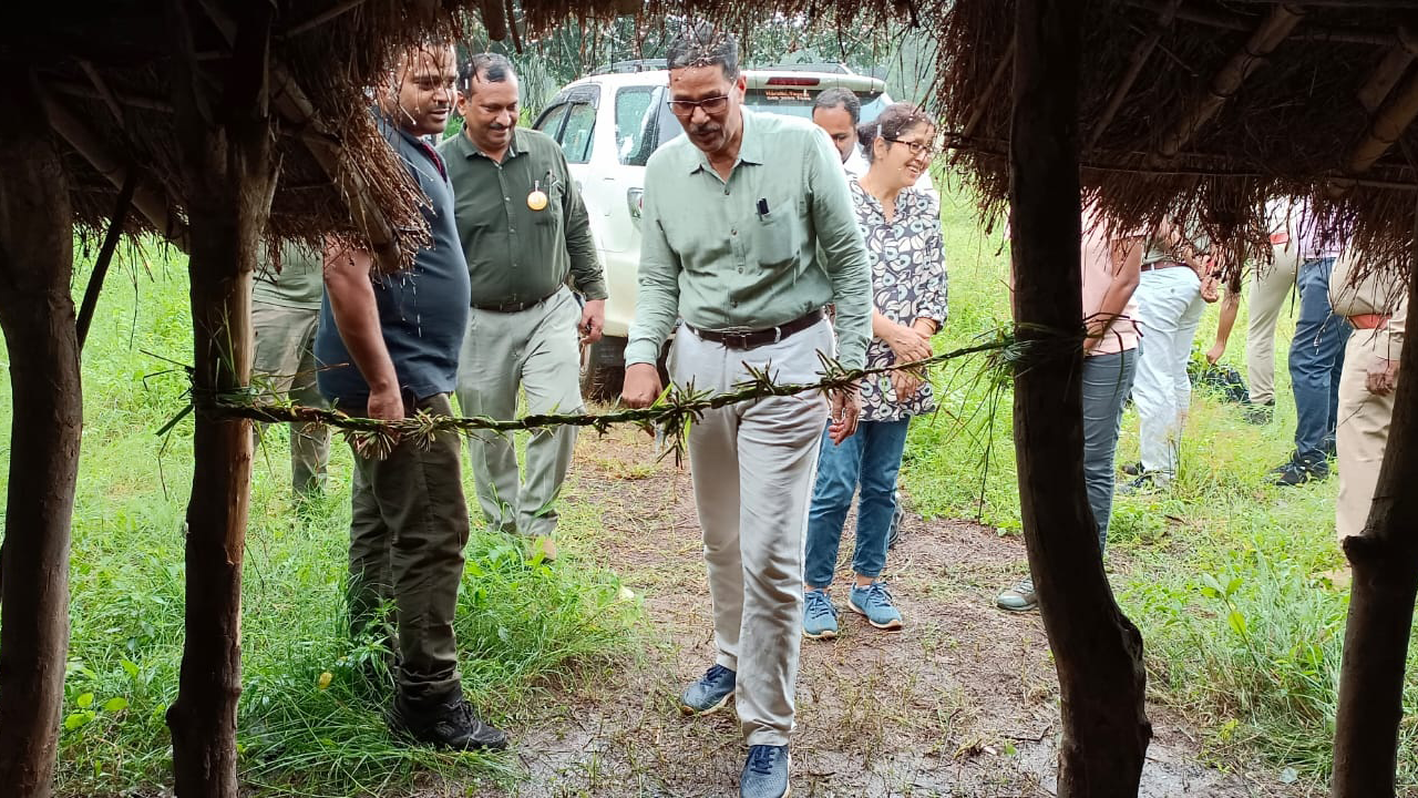 అటవీ ఉత్పత్తులతో అధిక లాభాలు
