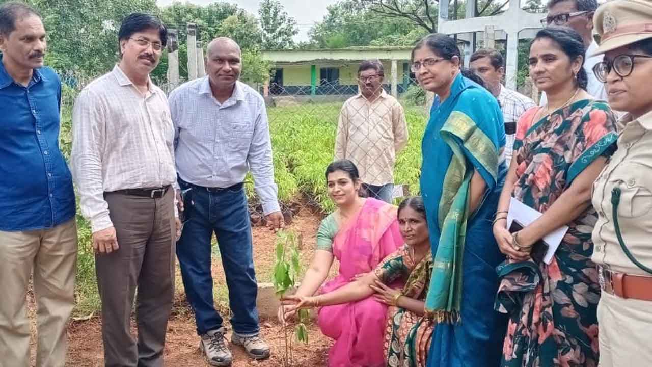 పండ్ల మొక్కల పెంపకానికి ప్రాధాన్యమివ్వాలి