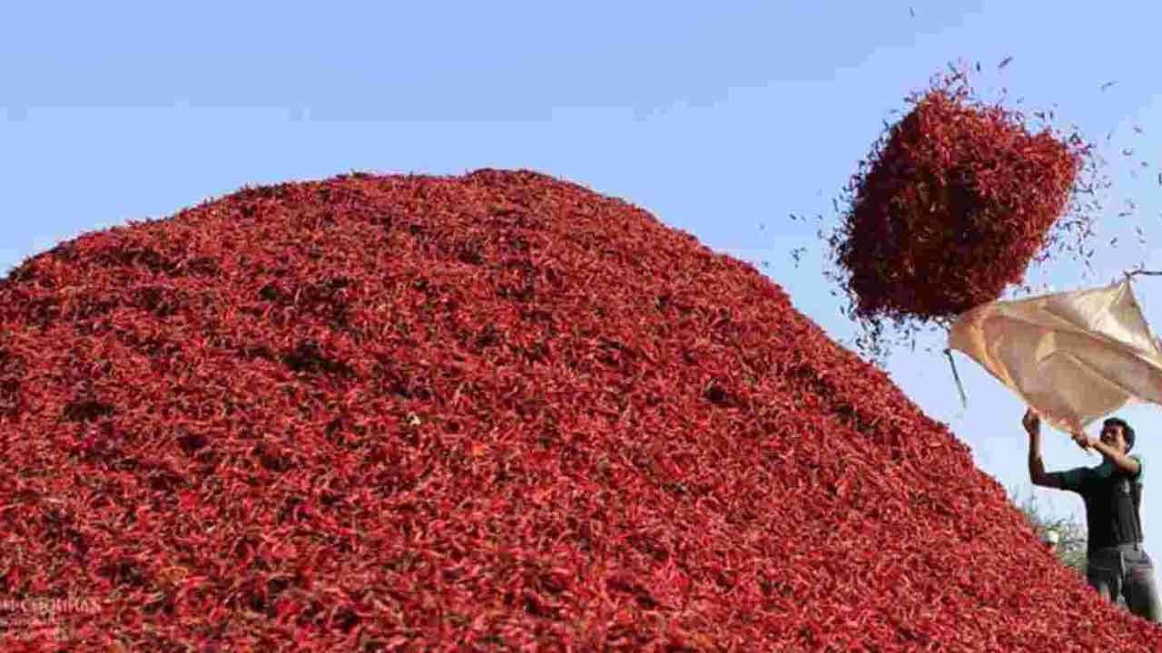 ‘స్వయం సహాయక’ పంట సేకరణ