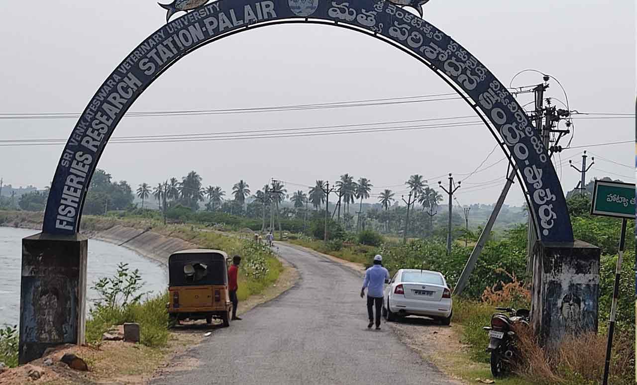 జుఝల్‌రావుపేటలో ‘మత్స్య పాలిటెక్నిక్‌’