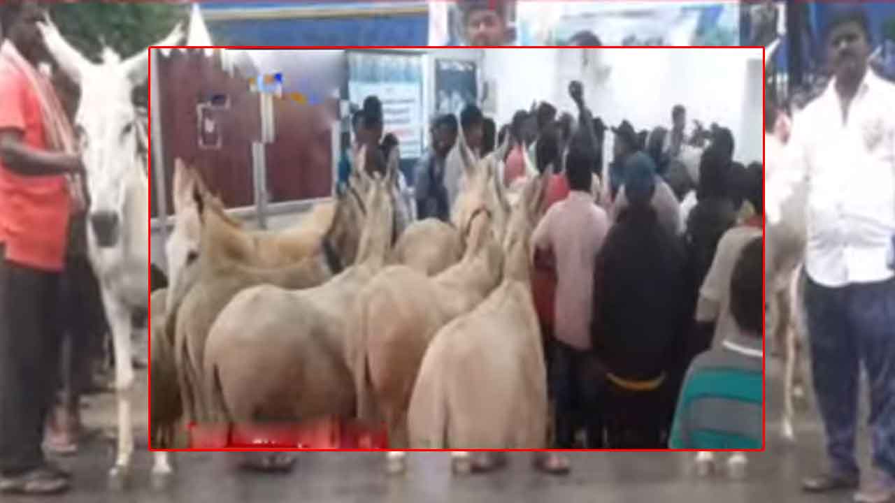 ఉపాధి కల్పిస్తున్న వాటినే పట్టుకుంటారా అంటూ ‘గాడిద’లతో  వినూత్ననిరసన