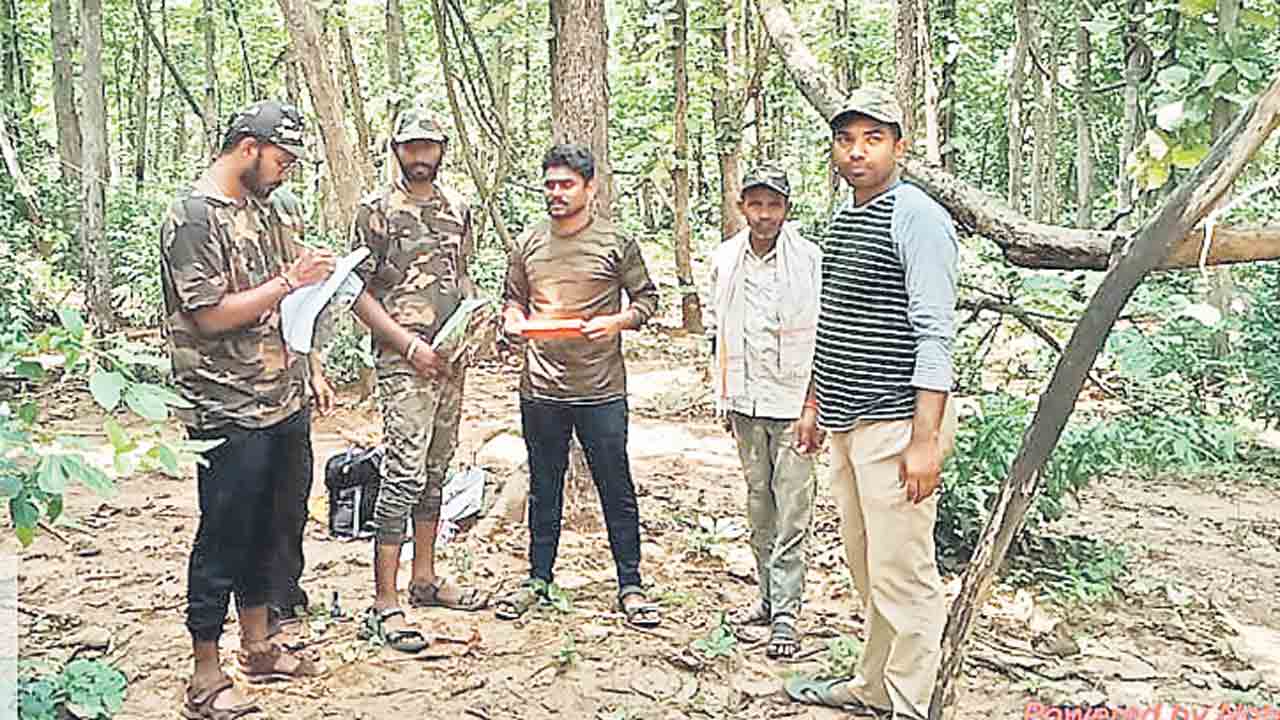 అరణ్యంలో పాఠాలు