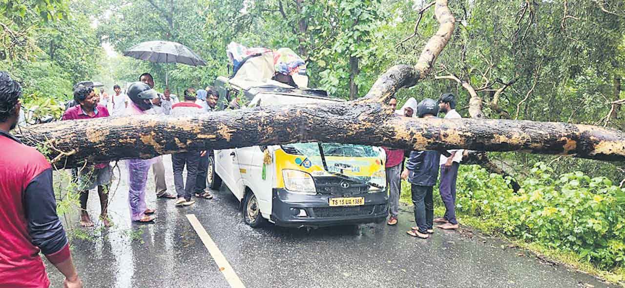 భారీ వృక్షం కూలి..