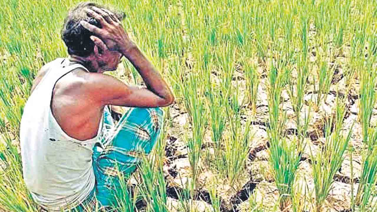 ఆత్మహత్యలపై అబద్ధాలా!