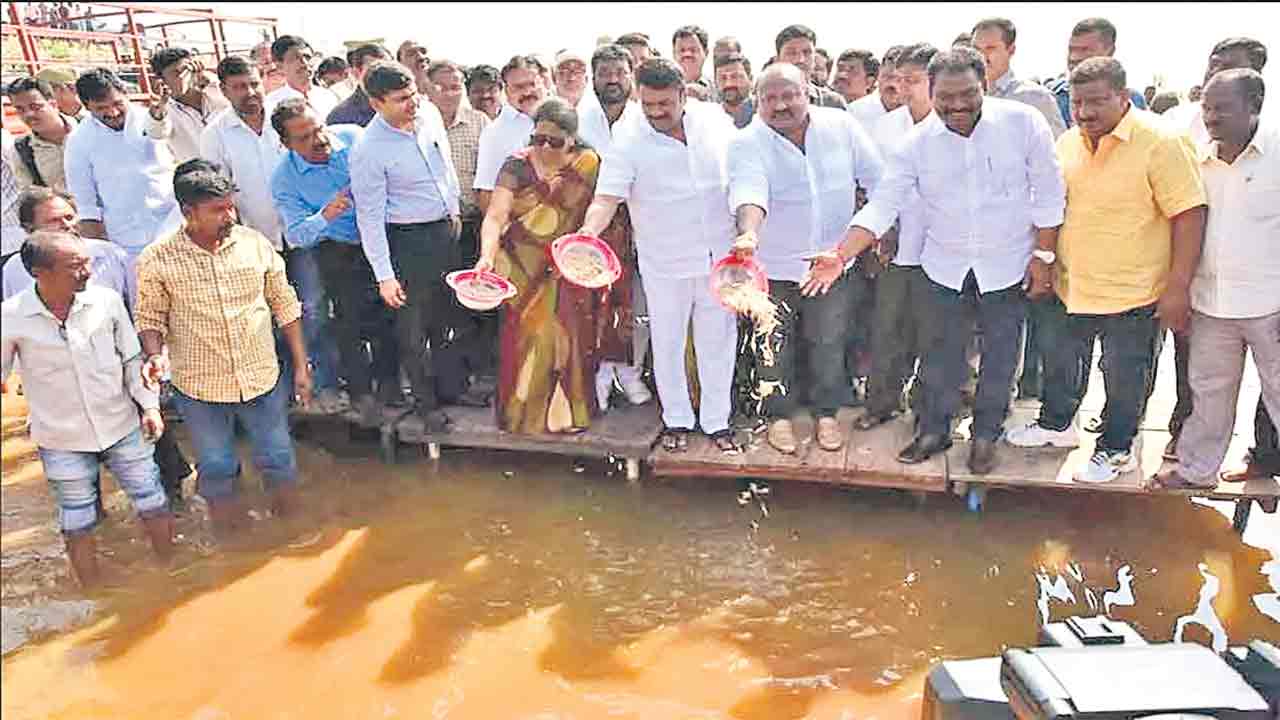 ఈ ఏడాది చేపపిల్లలు 88.52 కోట్లు