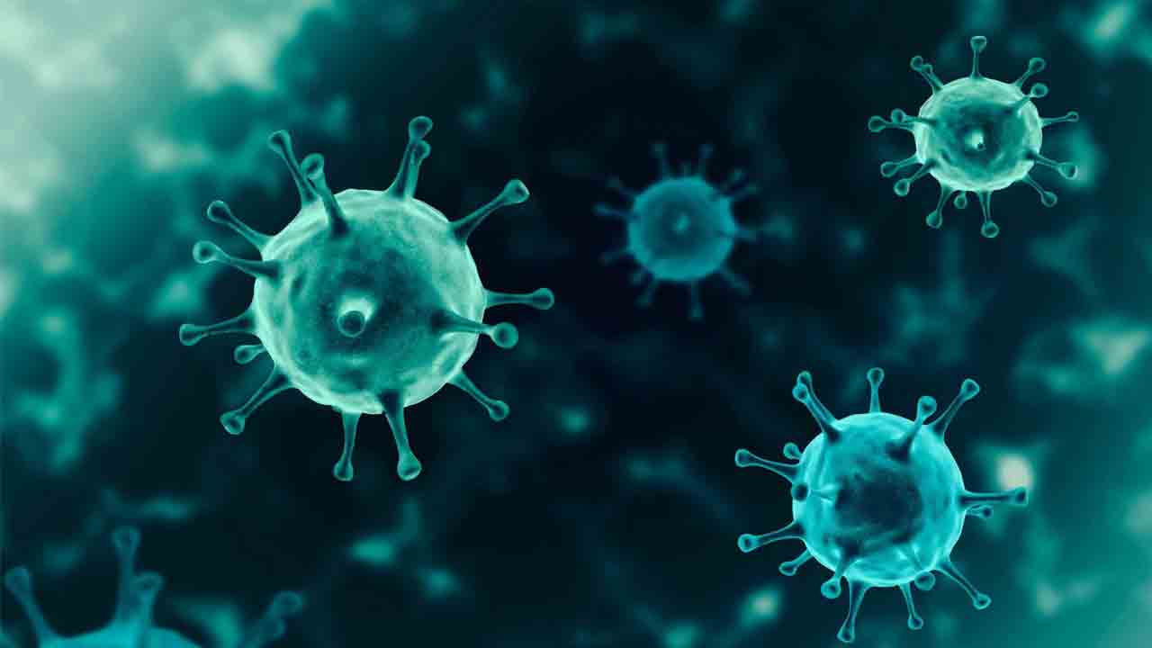 కొవిడ్‌తో ప్రతి 44 సెకన్లకు ఒకరు మృతి : ప్రపంచ ఆరోగ్య సంస్థ