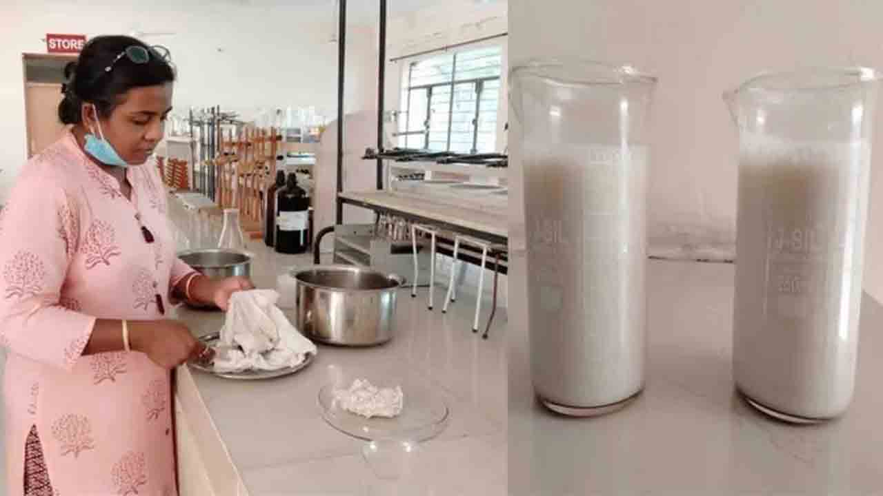 ఆ పప్పుతో పాల తయారీ..! సీఎస్‌ఏ శాస్త్రవేత్త ఘనత..