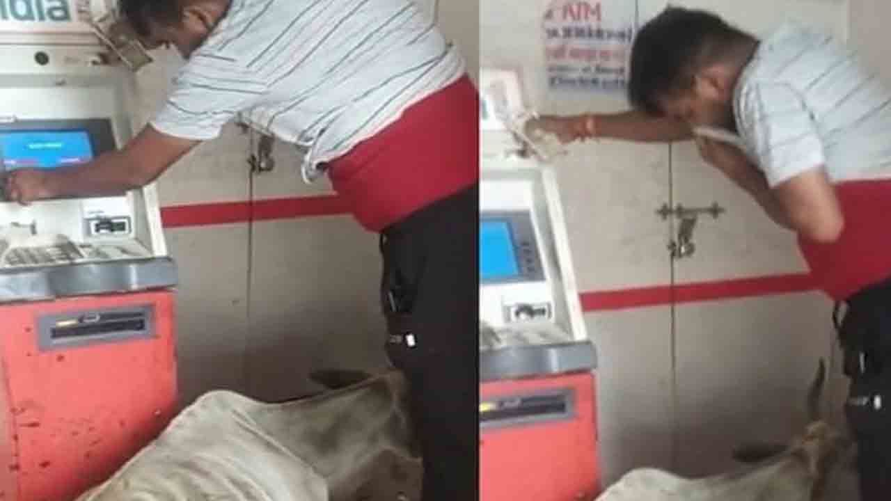 Viral Video: ఏటీఎం కేంద్రంలో పేడ వేసిన ఆవు… డబ్బులు డ్రా చేసేందుకు వ్యక్తి ఇబ్బంది