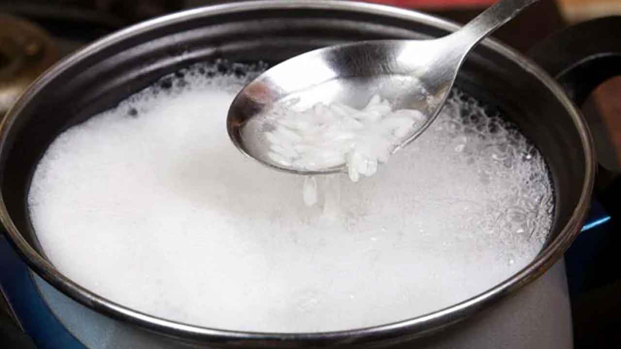 Does Rice Absorb Water When Cooking at Tracy Travis blog