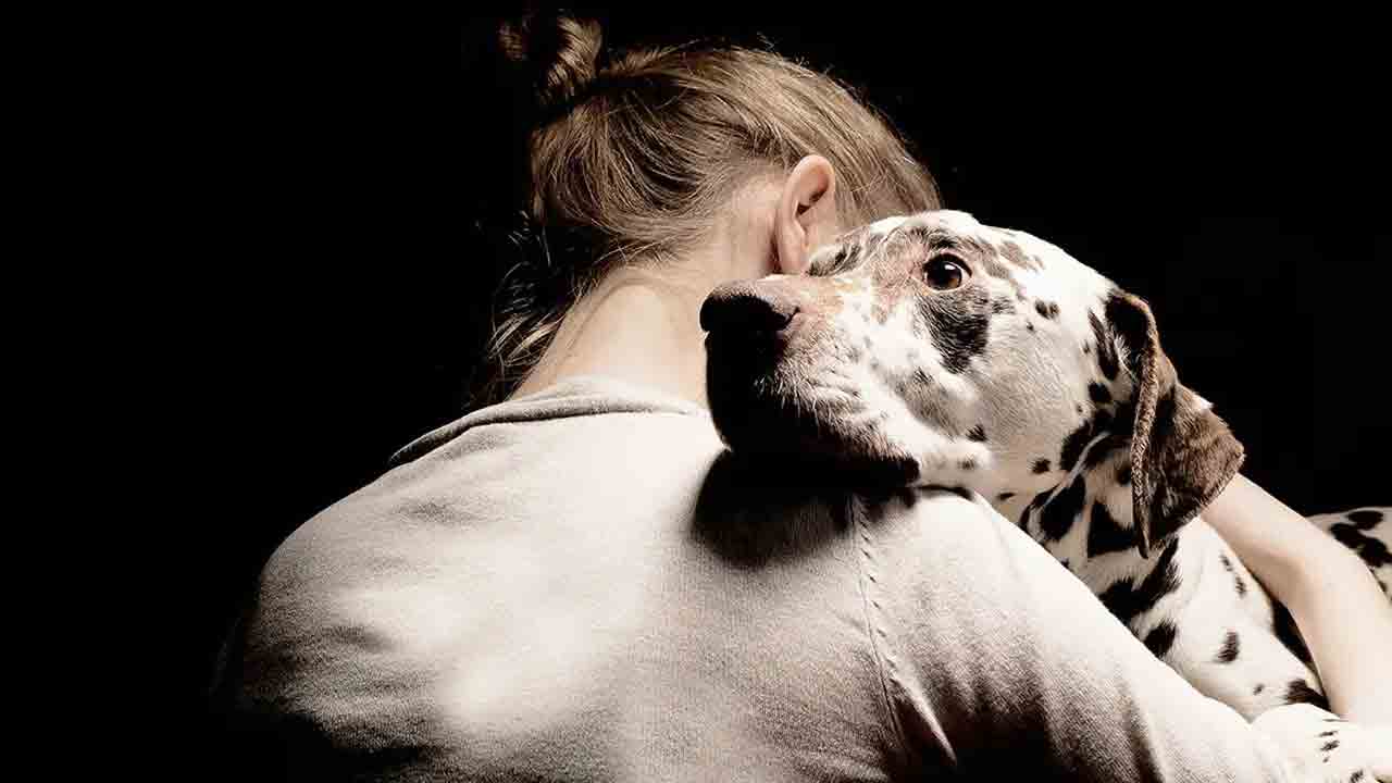 మనుషుల్లో ఒత్తిడిని శునకాలు పసిగడతాయ్‌