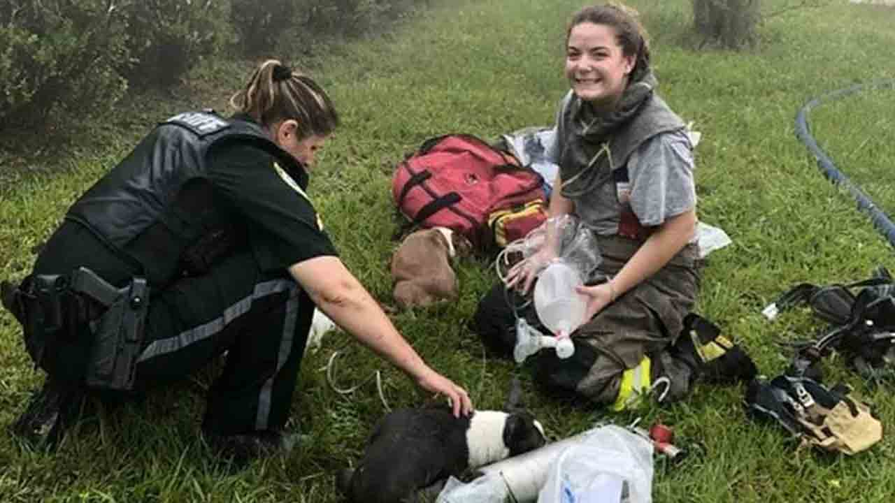 ఇంట్లో ఎవరూ లేని సమయంలో మంటలు.. అమెజాన్ డెలివరీ ఏజెంట్ చూసింది కాబట్టి సరిపోయింది!