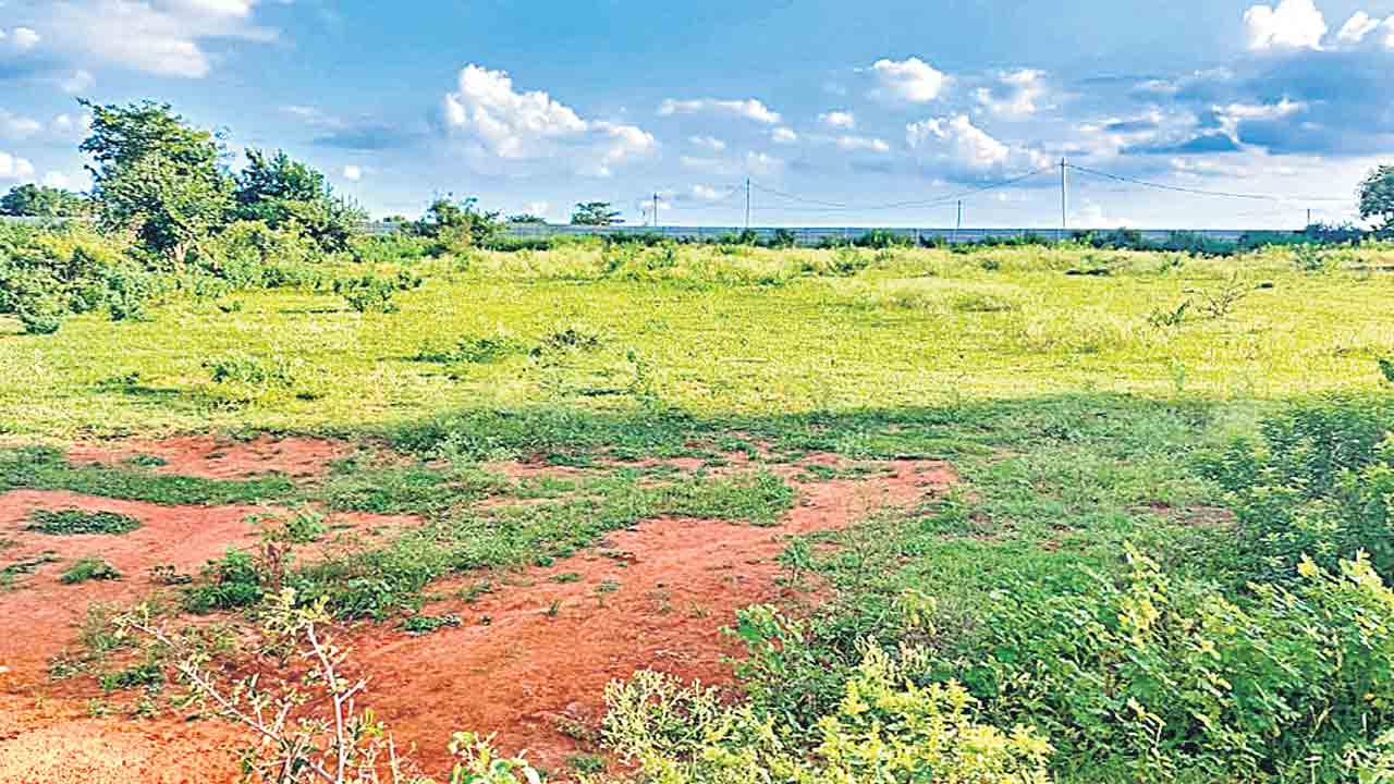 200 ఎకరాల్లో హెచ్‌ఎండీఏ భారీ లేఅవుట్‌