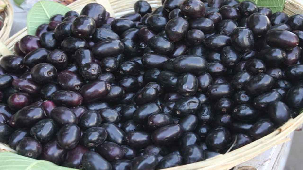 Jamun | అల్లనేరేడుతో ఆరోగ్య ప్రయోజనాలెన్నో..!