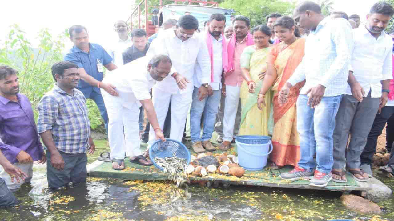 ఫిష్‌ హబ్‌గా తెలంగాణ