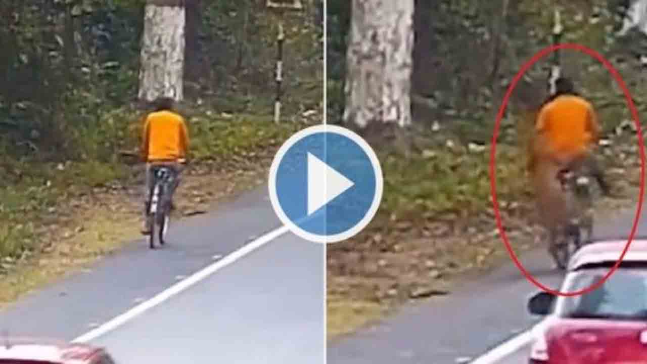 Viral Video: సైకిల్పై వెళ్తున్న వ్యక్తిపై చిరుత దాడి… తర్వాత ఏం జరిగిందంటే!