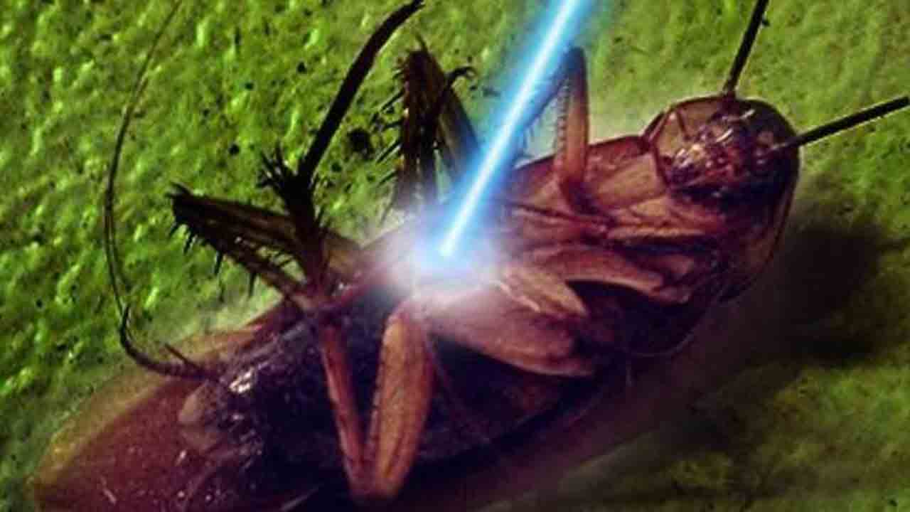 బొద్దింకలను చంపే లేజర్‌ షూటర్‌