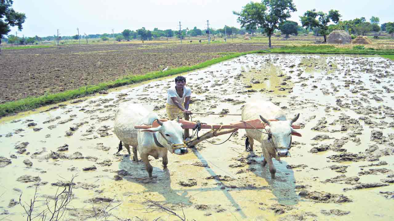 రైతన్నంటే పానం