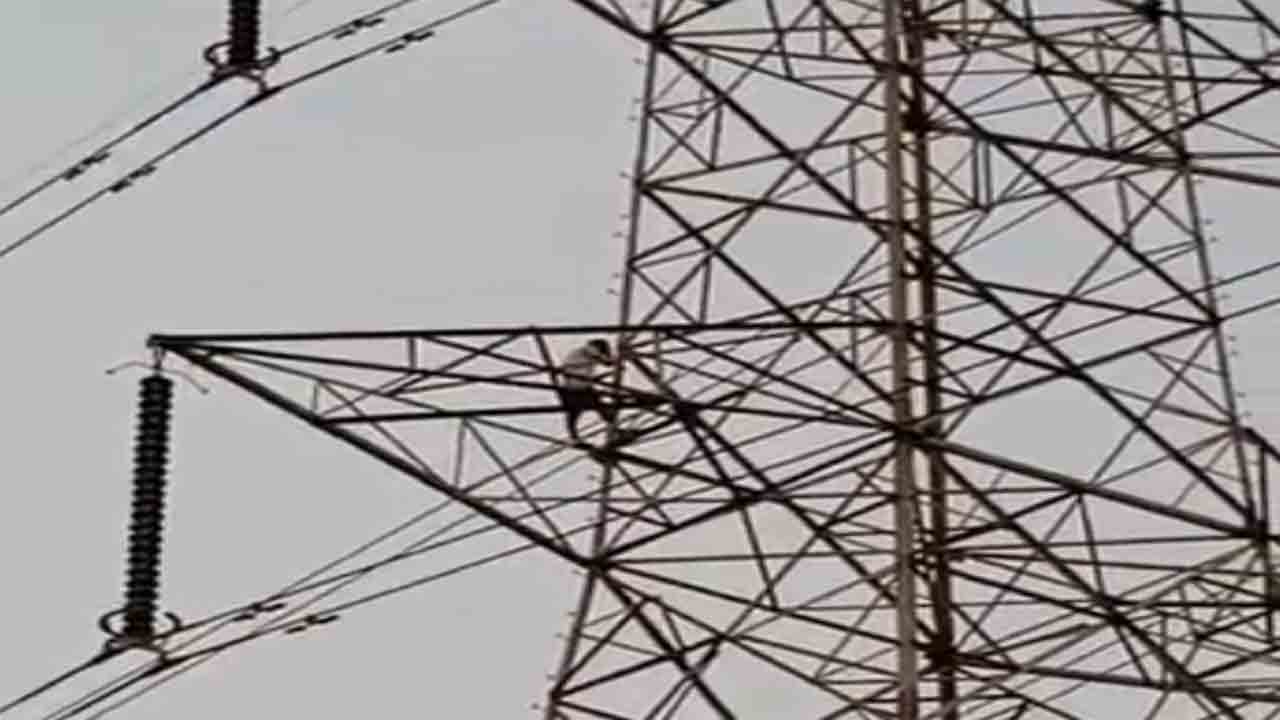 Viral Video: భార్యను పంపని అత్తమామలు… హై టెన్షన్ టవర్ ఎక్కి భర్త నిరసన