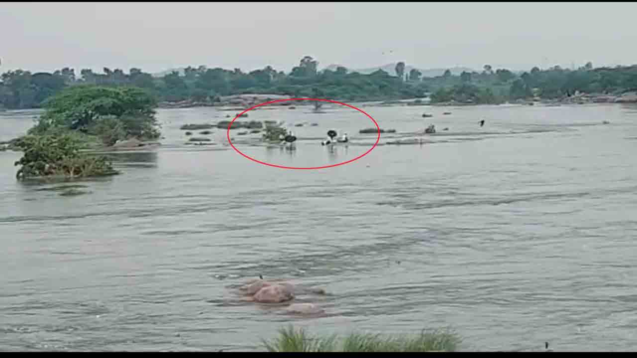 మంజీరా నదిలో చిక్కుకున్న ఆరుగురు మత్స్యకారులు.. వీడియో