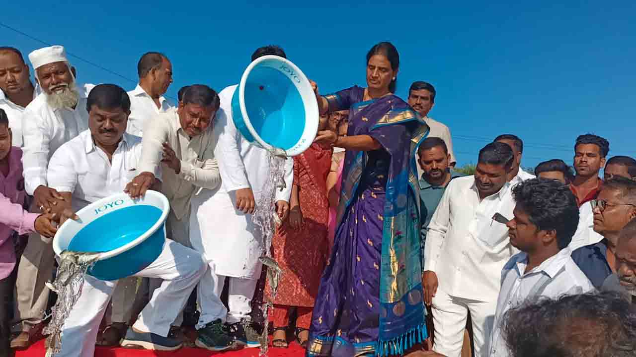 రాష్ట్రంలో పెరిగిన మత్స్య సంపద: మంత్రి సబితా రెడ్డి