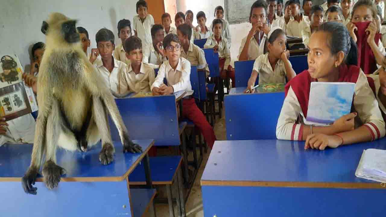Viral Video: విద్యార్థులతో కలిసి… క్లాస్‌ రూమ్‌లో కూర్చొన్న కోతి